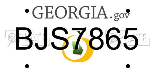 BJS7865 Georgia License Plate