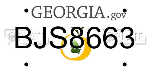 BJS8663 Georgia License Plate