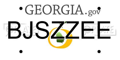BJSZZEE Georgia License Plate