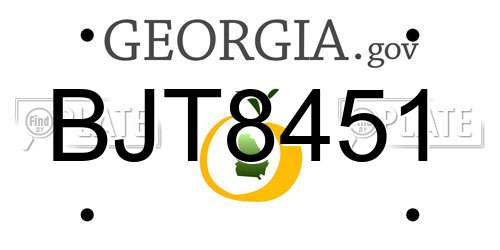 BJT8451 Georgia License Plate