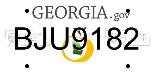BJU9182 Georgia License Plate