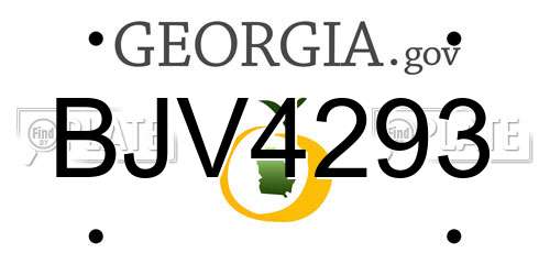 BJV4293 Georgia License Plate