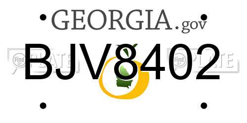 BJV8402 Georgia License Plate