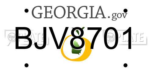 BJV8701 Georgia License Plate