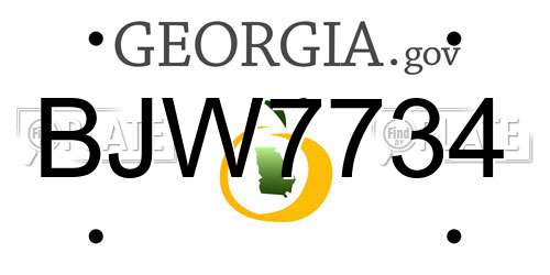 BJW7734 Georgia License Plate