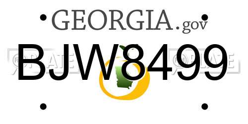 BJW8499 Georgia License Plate
