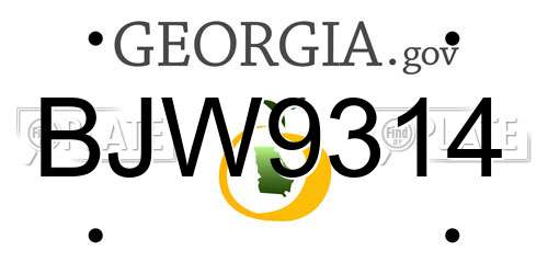 BJW9314 Georgia License Plate
