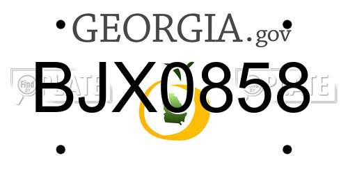 BJX0858 Georgia License Plate