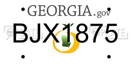 BJX1875 Georgia License Plate