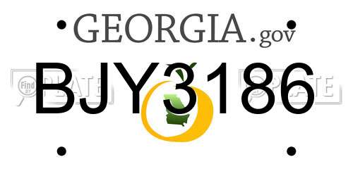 BJY3186 Georgia License Plate