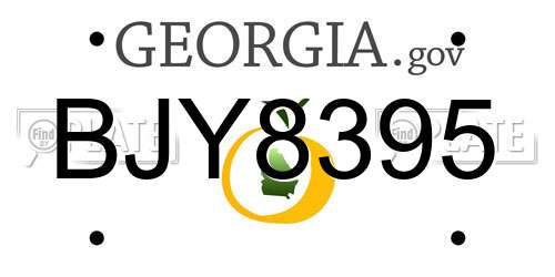 BJY8395 Georgia License Plate