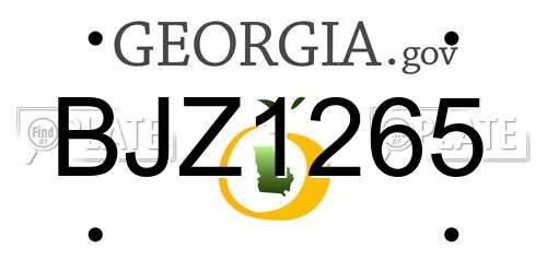 BJZ1265 Georgia License Plate