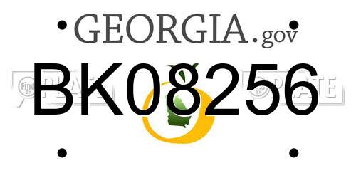 BK08256 Georgia License Plate
