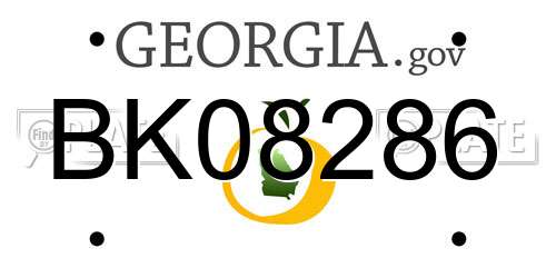 BK08286 Georgia License Plate
