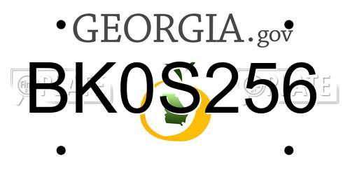 BK0S256 Georgia License Plate