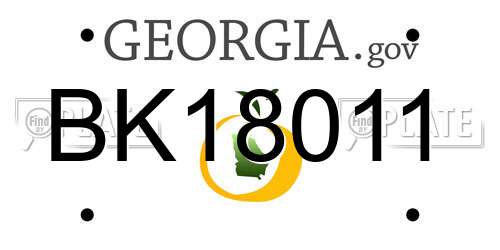 BK18011 Georgia License Plate