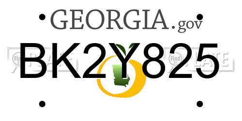 BK2Y825 Georgia License Plate