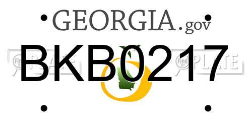 BKB0217 Georgia License Plate