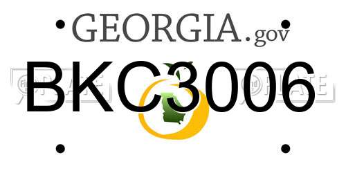 BKC3006 Georgia License Plate