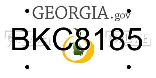 BKC8185 Georgia License Plate