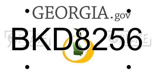 BKD8256 Georgia License Plate