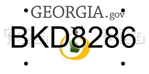 BKD8286 Georgia License Plate