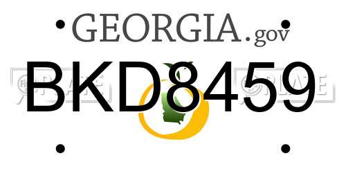 BKD8459 Georgia License Plate