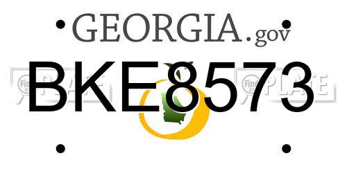 BKE8573 Georgia License Plate