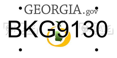 BKG9130 Georgia License Plate