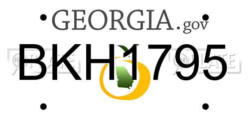 BKH1795 Georgia License Plate