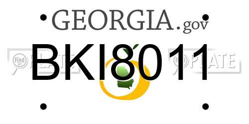 BKI8011 Georgia License Plate