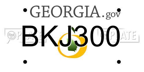 BKJ300 Georgia License Plate