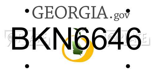 BKN6646 Georgia License Plate