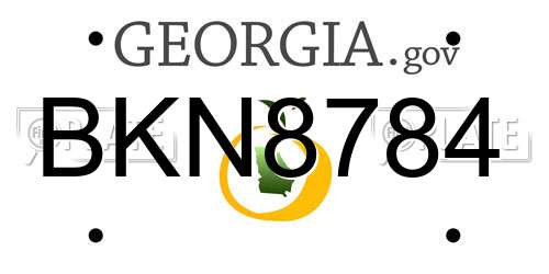 BKN8784 Georgia License Plate