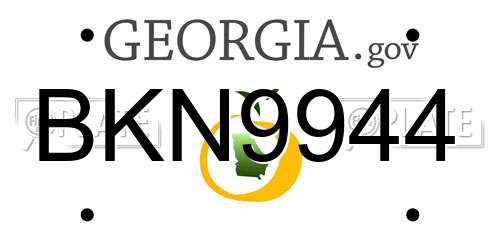 BKN9944 Georgia License Plate