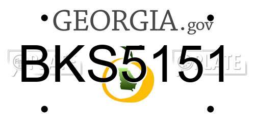 BKS5151 Georgia License Plate