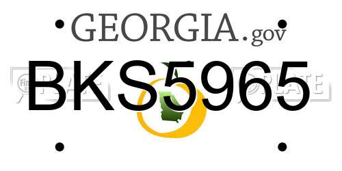 BKS5965 Georgia License Plate