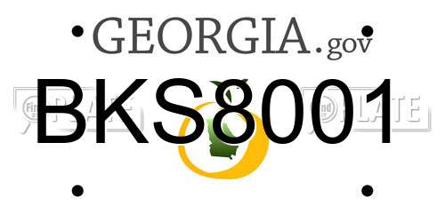 BKS8001 Georgia License Plate