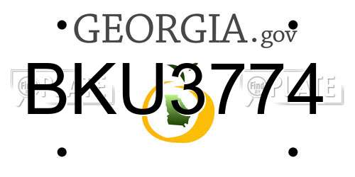 BKU3774 Georgia License Plate