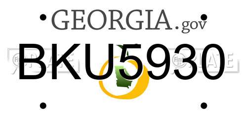 BKU5930 Georgia License Plate