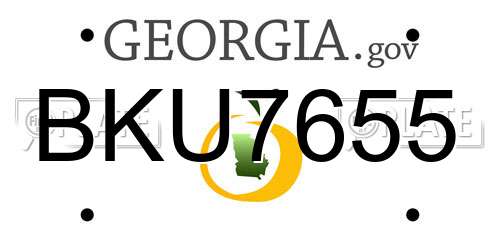 BKU7655 Georgia License Plate