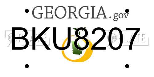 BKU8207 Georgia License Plate