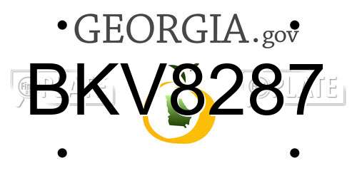 BKV8287 Georgia License Plate