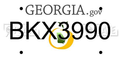 BKX3990 Georgia License Plate