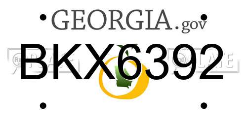 BKX6392 Georgia License Plate
