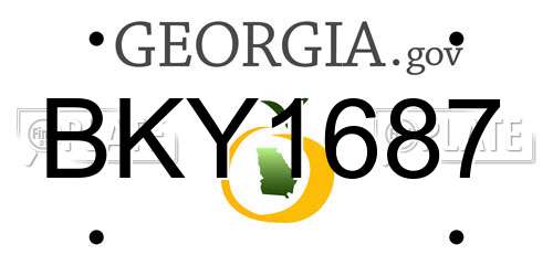 BKY1687 Georgia License Plate