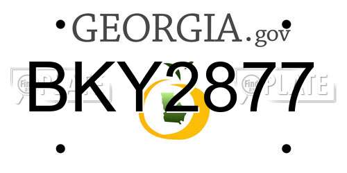 BKY2877 Georgia License Plate