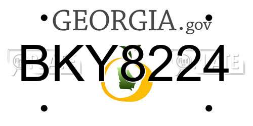 BKY8224 Georgia License Plate