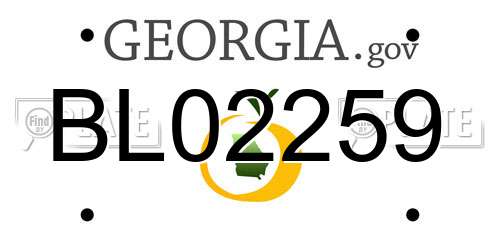 BL02259 Georgia License Plate