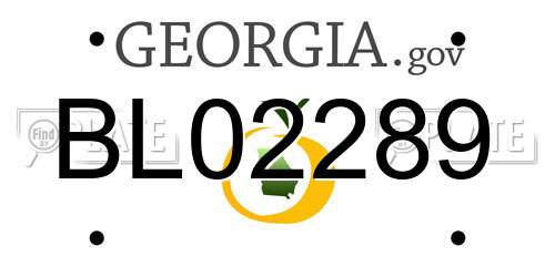 BL02289 Georgia License Plate
